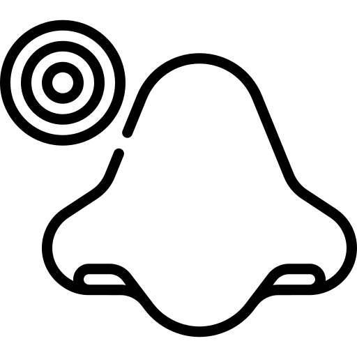 Sleep  Apnea